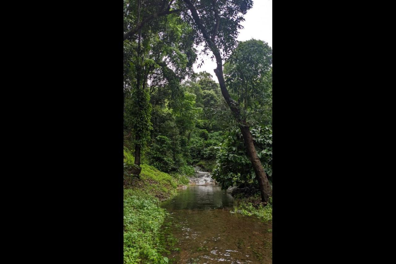 Hill Valley Farm House Nelliyampathy Exterior foto